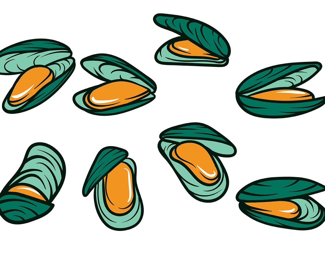 Mussel Vector Icon