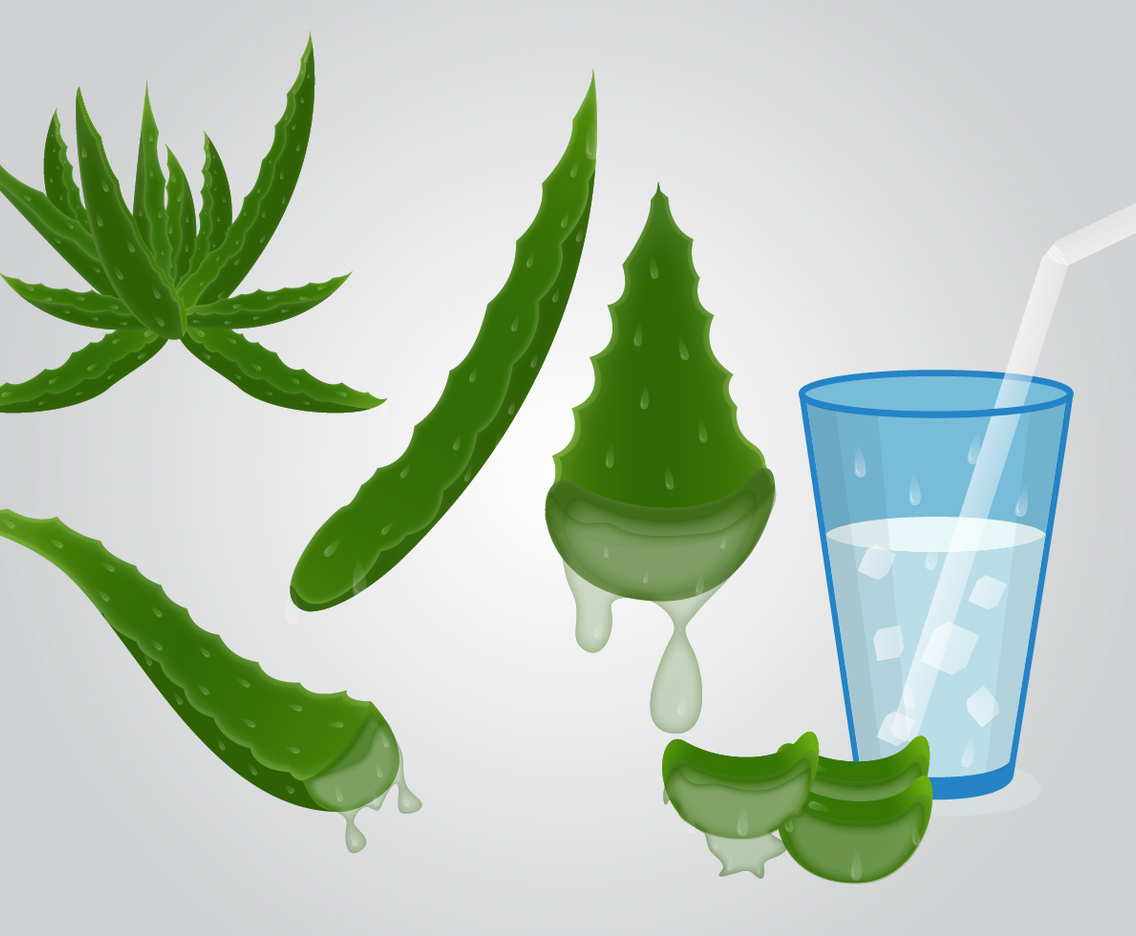 Fresh Healthy Maguey Drink Vector