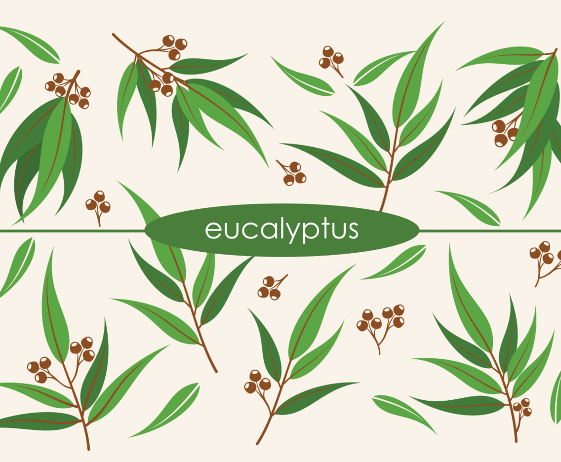 VECTOR EUCALYPTUS