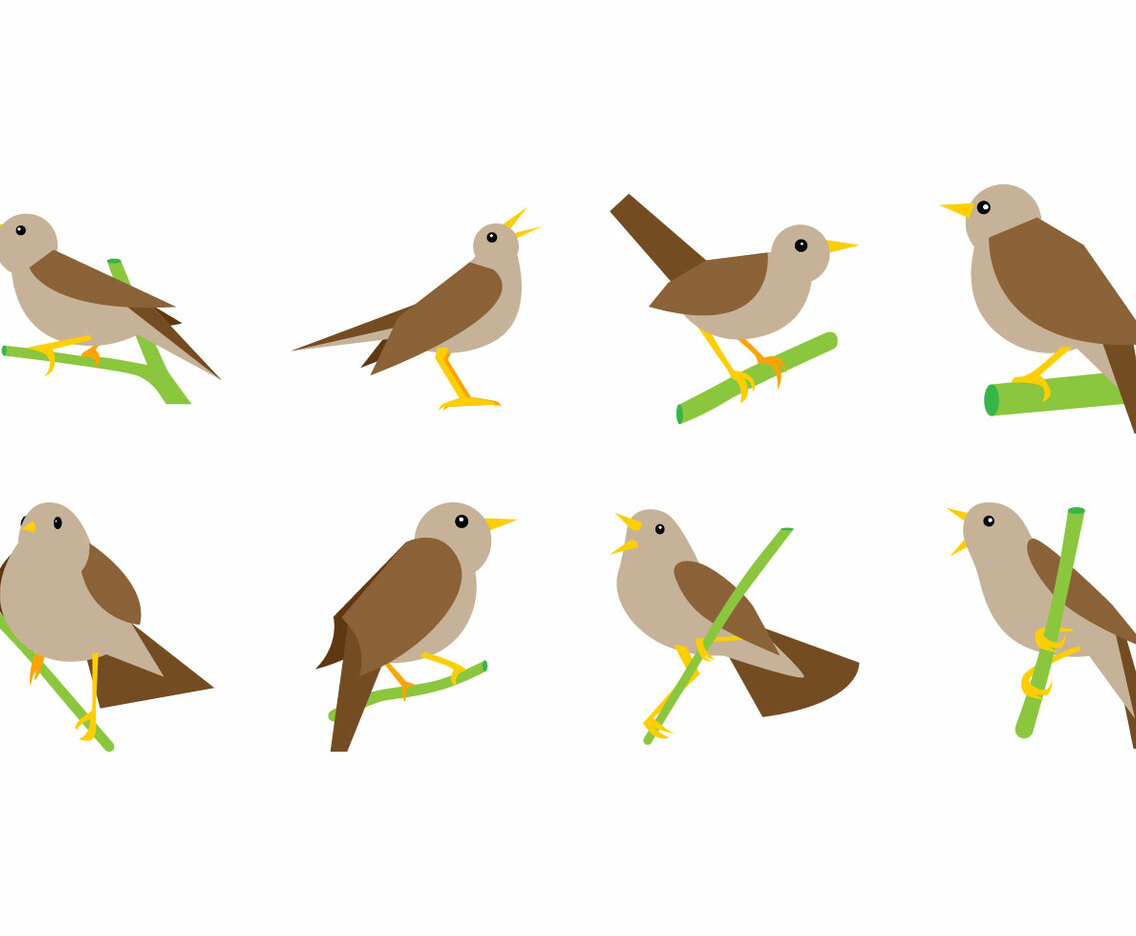 Free Nightingale Vector