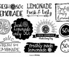 Hand Drawn Style Lemonade Labels