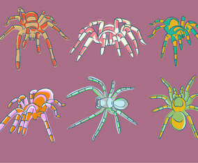 Sketchy Tarantula Vector