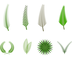 Free Palm Sunday Vector