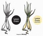 Free Vector Lemon Grass
