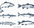 Free Vector Freshwater Fish Set