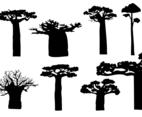 Free Baobab Silhouete Vector
