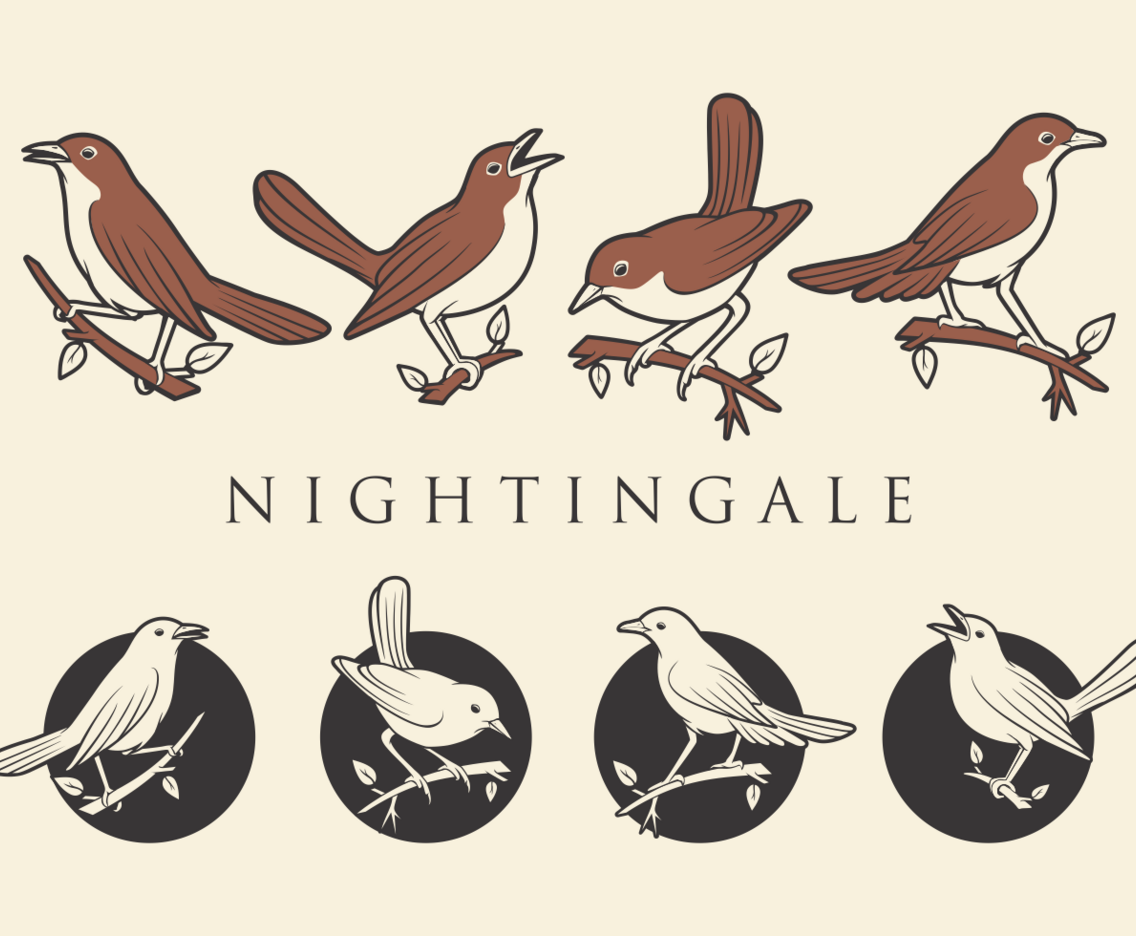NIGHTINGALE VECTORS