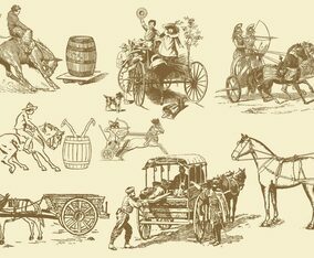 Horse Leisure And Transport