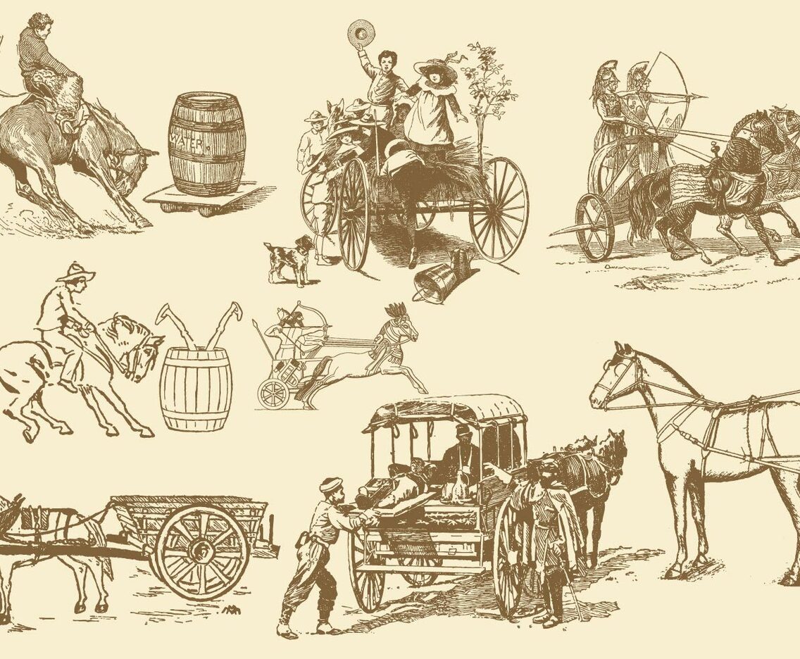 Horse Leisure And Transport