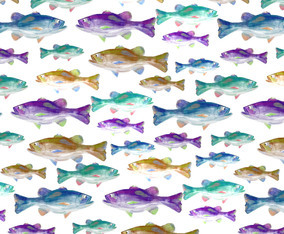 Free Vector Watercolor Bass Fish Background