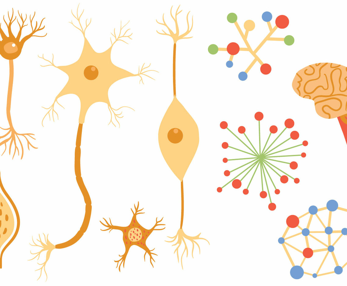 Free Neuron Vectors