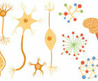 Free Neuron Vectors