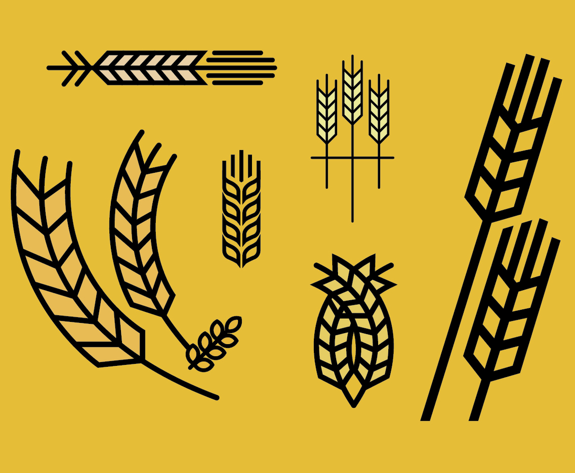 Wheat stalk vector set 2