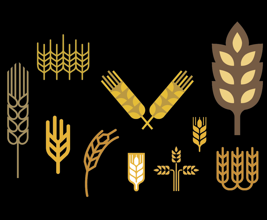 Wheat stalk vector set