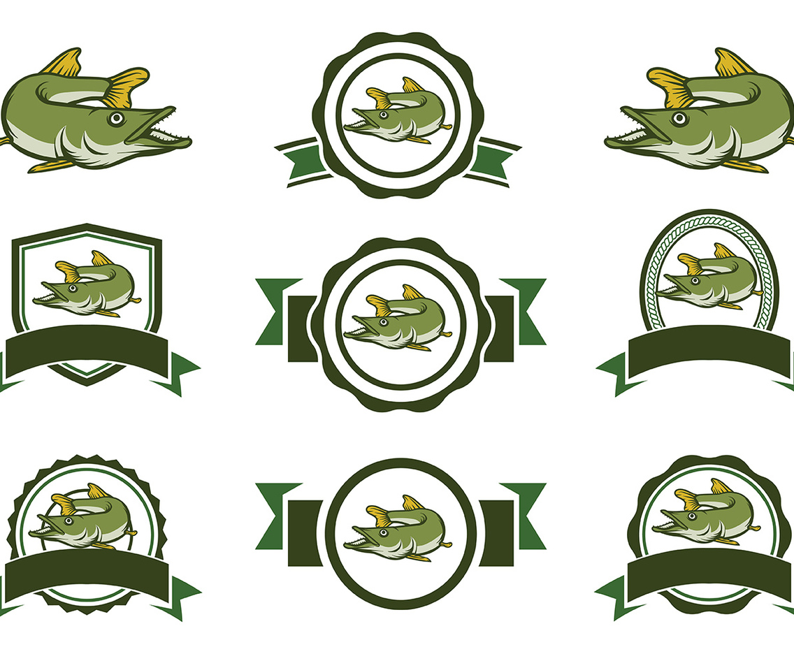 Pike Fish Vector