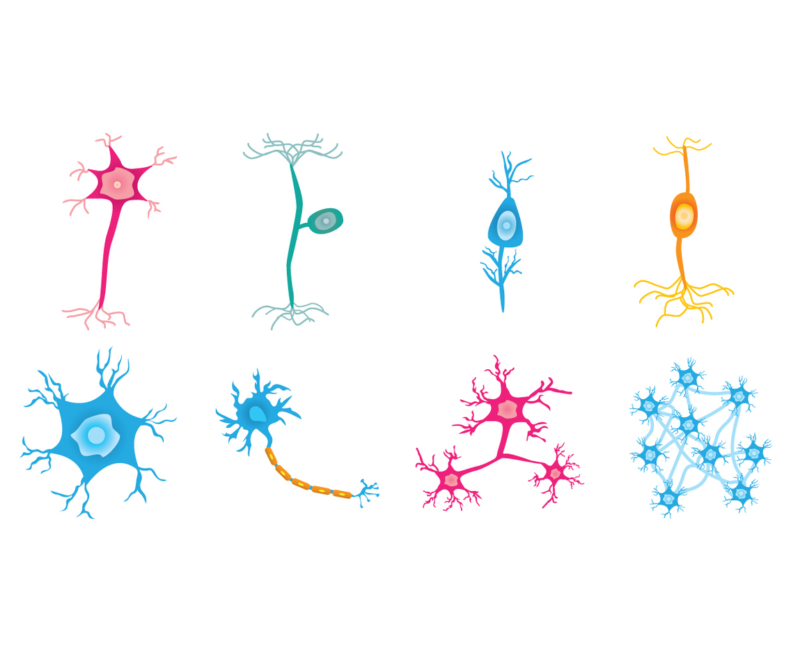 Free Neuron Vector