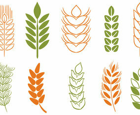 Free Wheat Stalk 2 Vectors