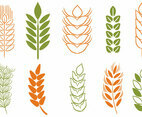 Free Wheat Stalk  2 Vectors
