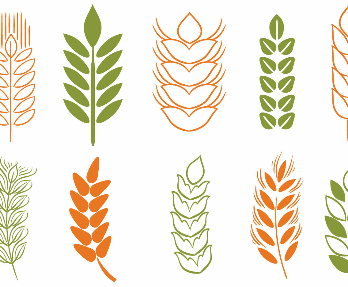Free Wheat Stalk  2 Vectors
