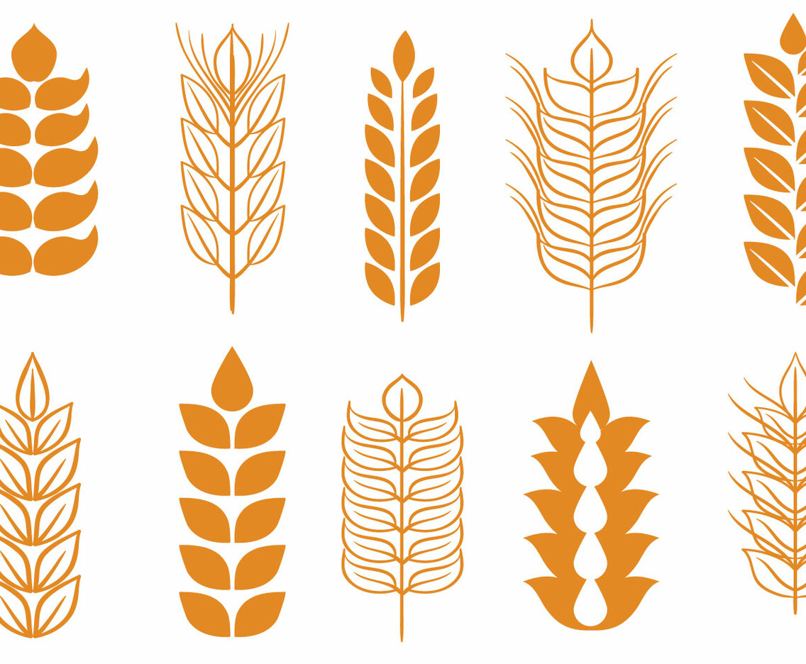 Free Wheat Stalk Vectors