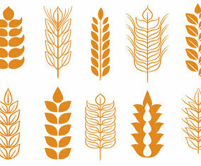 Free Wheat Stalk Vectors