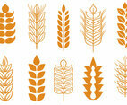 Free Wheat Stalk Vectors