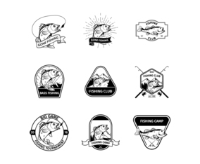 Free Bass Fish Vector