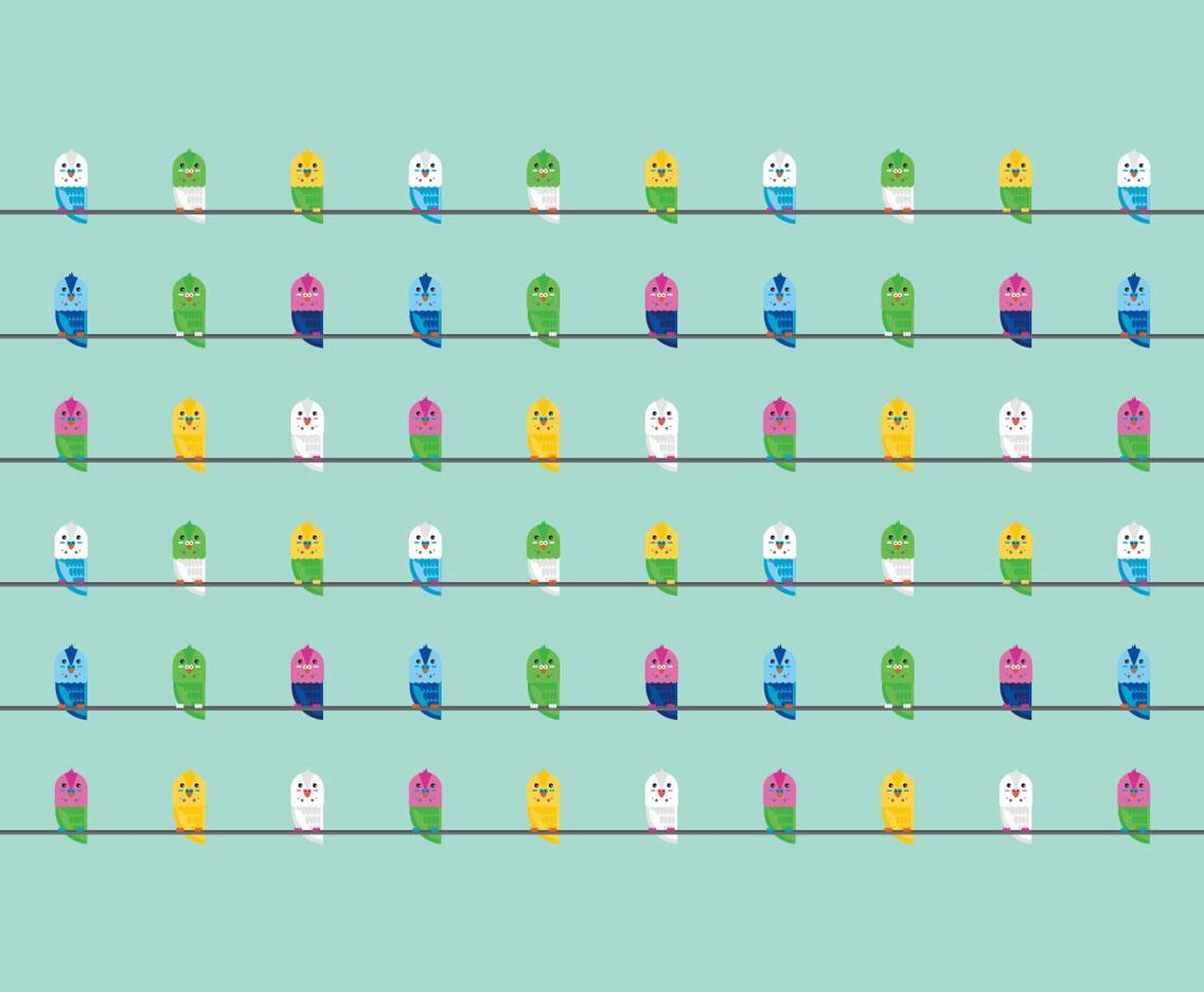 Free Vector Budgies Pattern