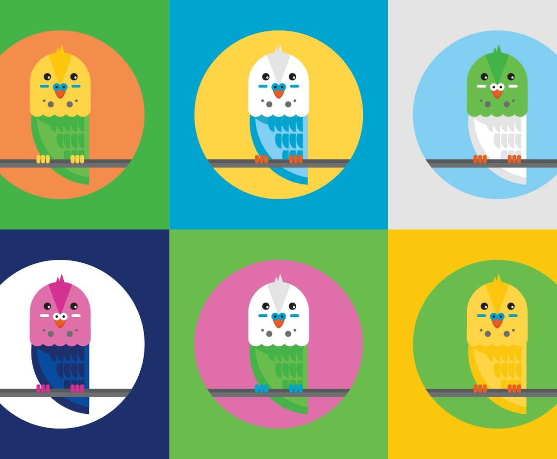 Free Budgies Vector Illustrations