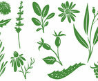 Free Medicinal Plants Vectors