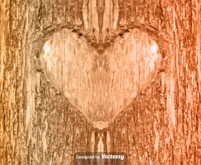 Vector Heart Carved In Tree