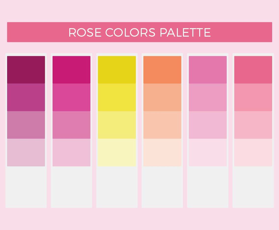 Free Rose Colors Vector Palette