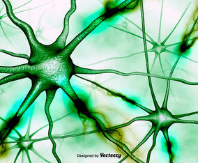 Abstract Neurons Background Vector 3D Background