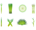 Free Lemongrass Vector