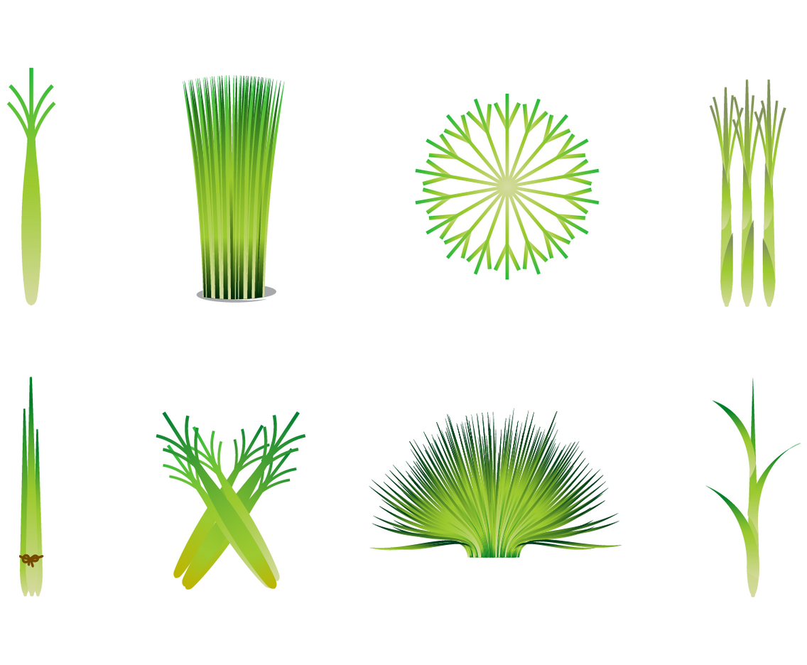 Free Lemongrass Vector