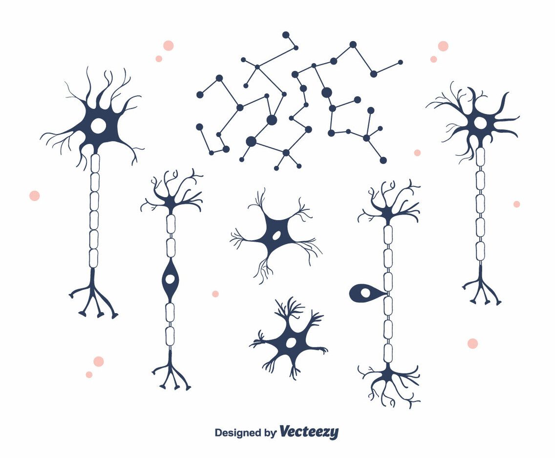 Neuron Vector