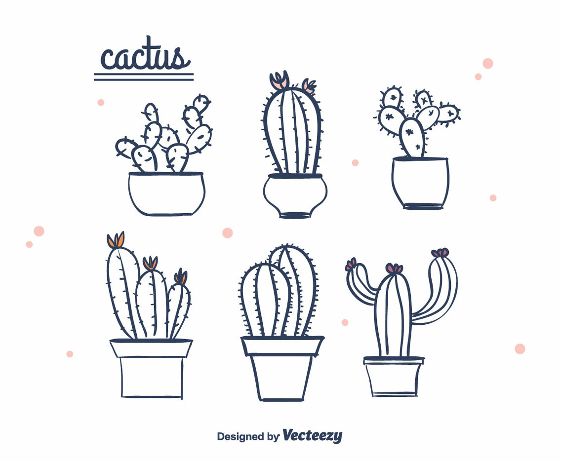 Hand Drawn Cactus Vector