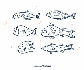 Free Fishes Vector