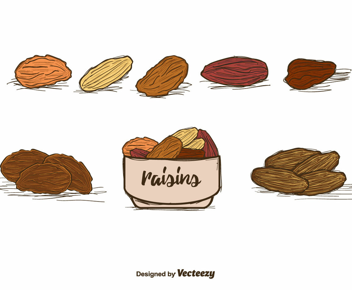 Raisins Vector