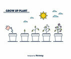 Plant Growth Cycle Vector