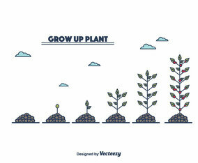 Grow Up Plant Vector