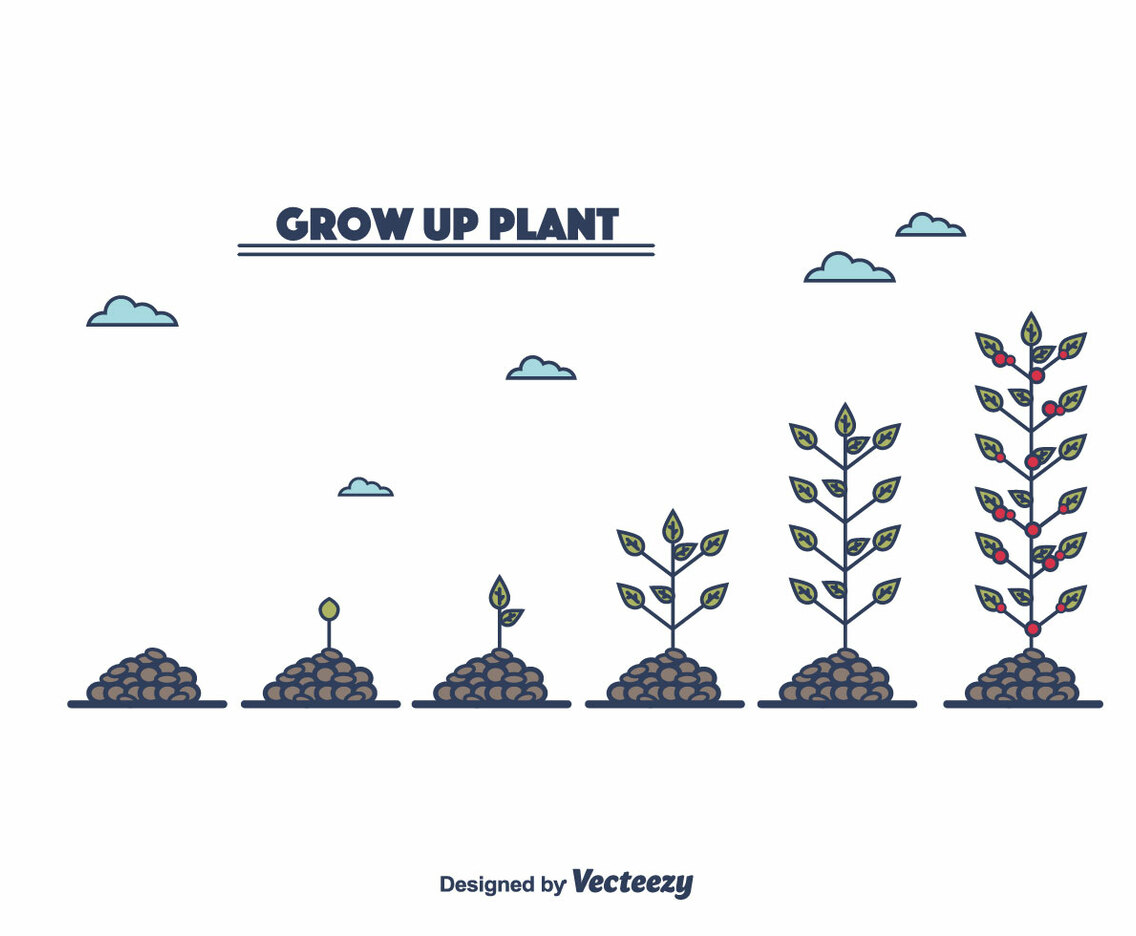 Grow Up Plant Vector