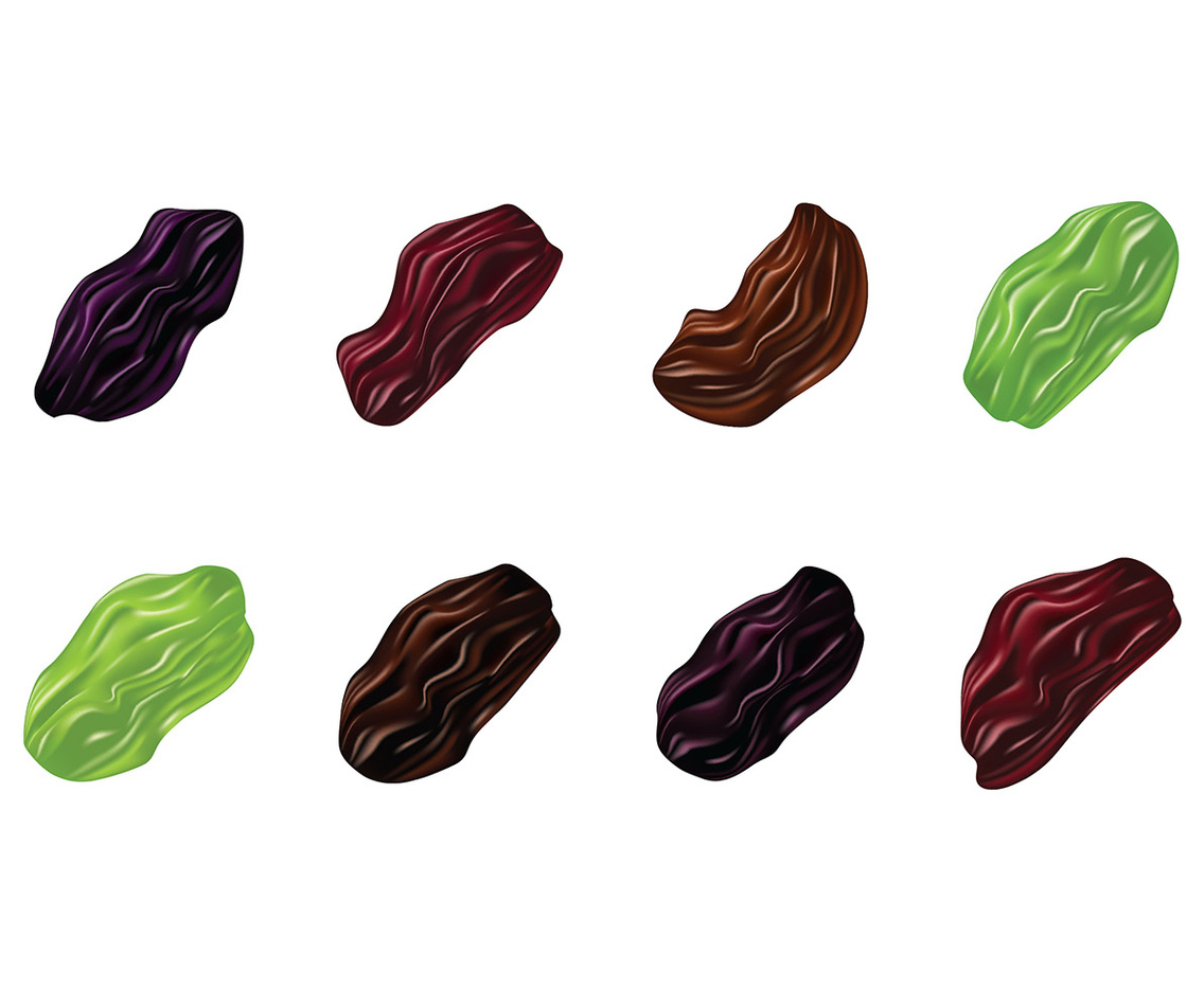 RAISIN VECTOR REALISTIC