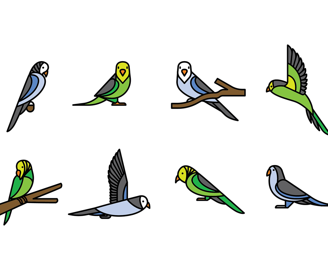 Budgie Vector Icons