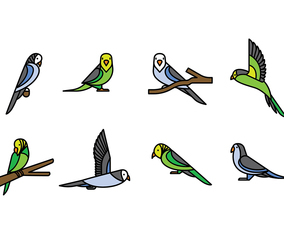 Budgie Vector Icons
