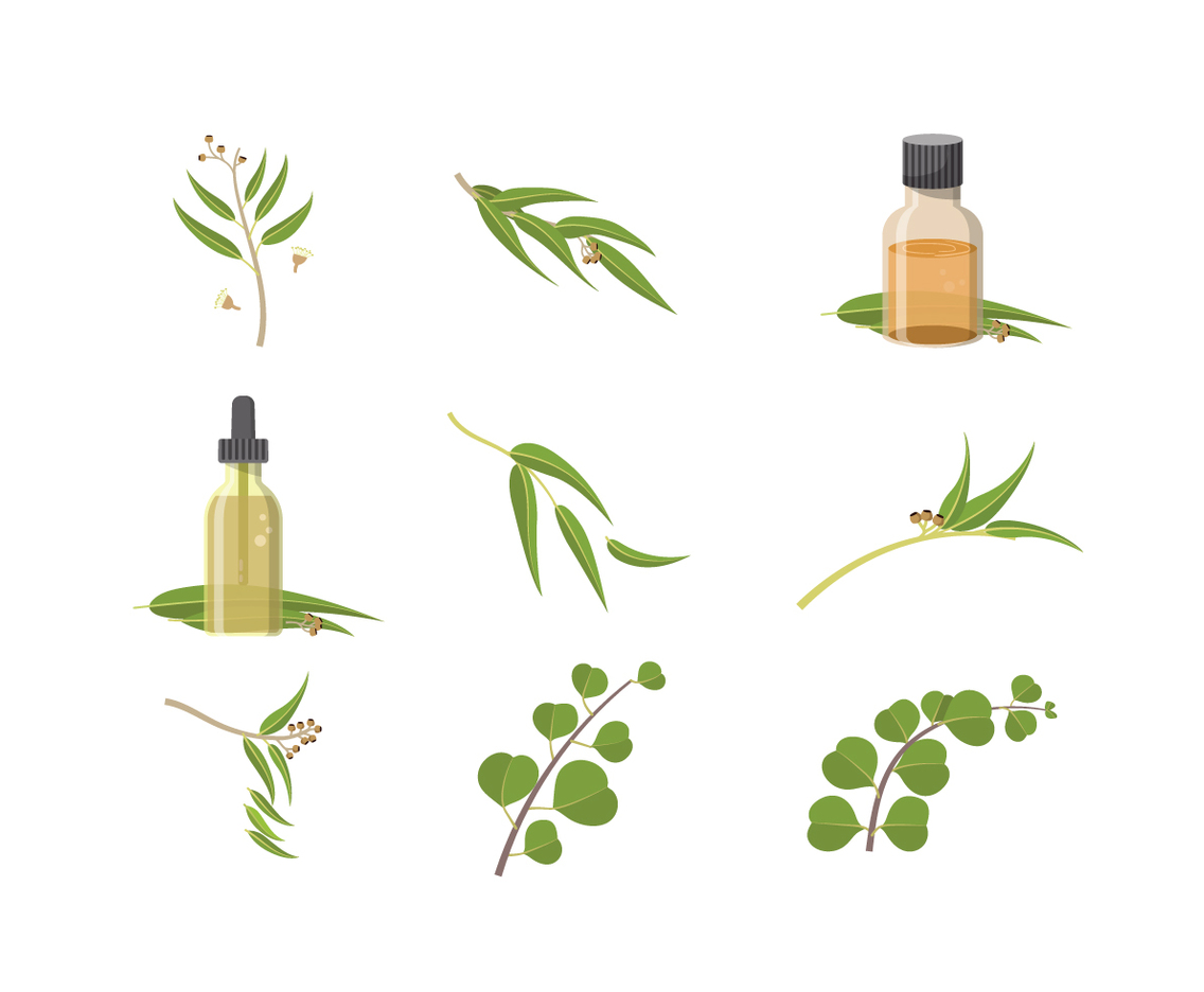 Free Eucalyptus Vectors