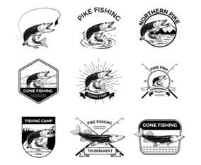 Free Pike Fishing Vectors
