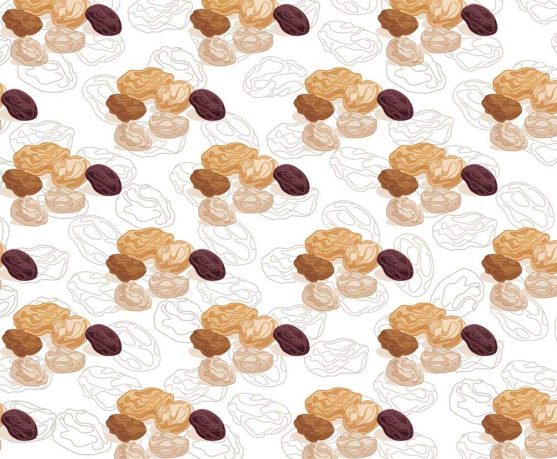 Raisins Vector