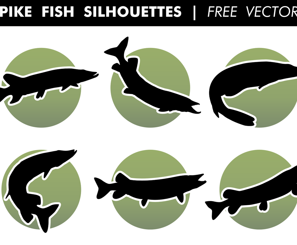 Pike Fish Silhouettes Free Vector