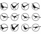 Free Roadrunner Bird Silhoutte Vector Pack
